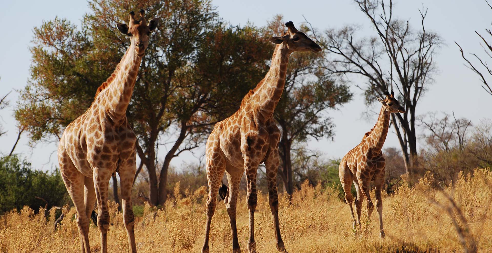 8-Day Wetlands & Delta Safari
